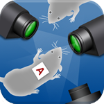 Mouse behavior analysis